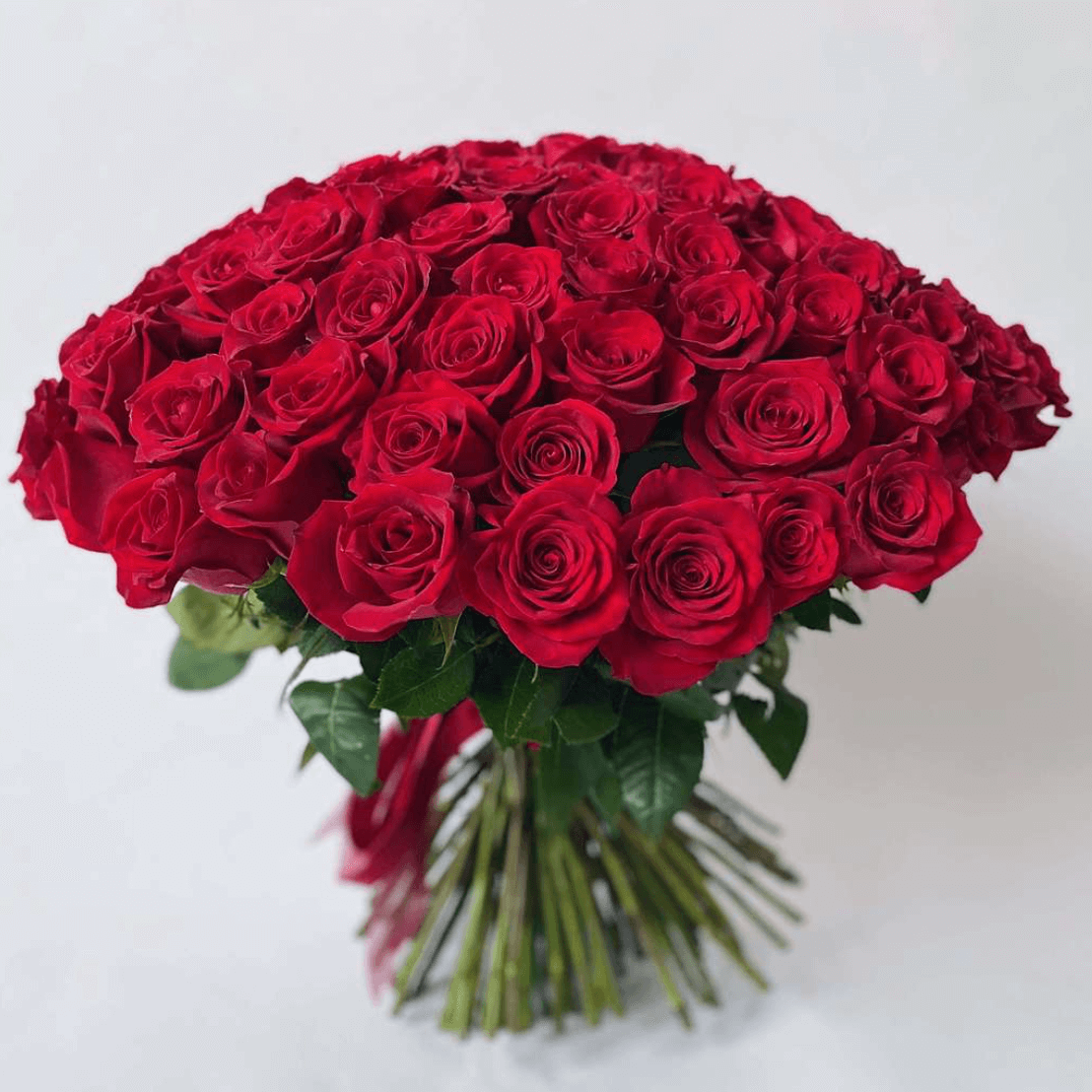 72 red roses