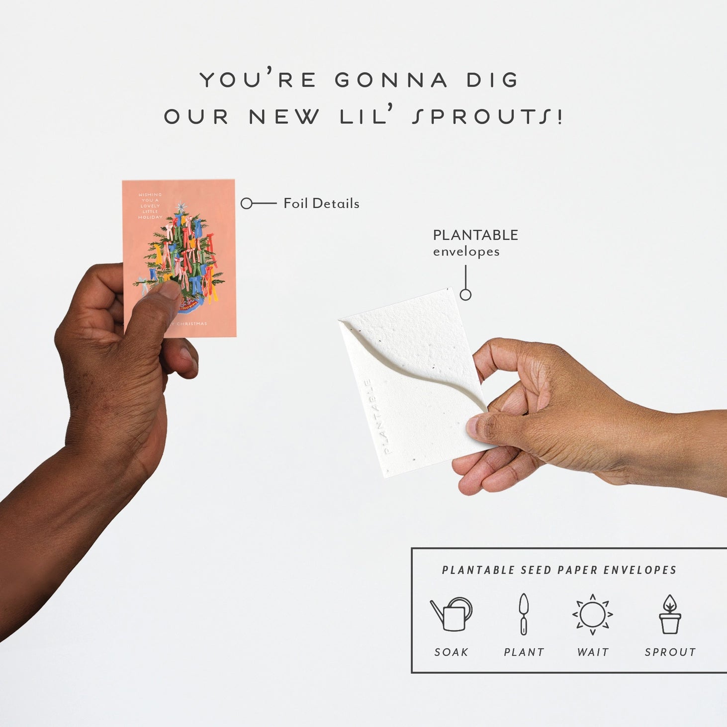 Two hands holding a plantable seed paper envelope with text about new 'Lil' Sprouts'.