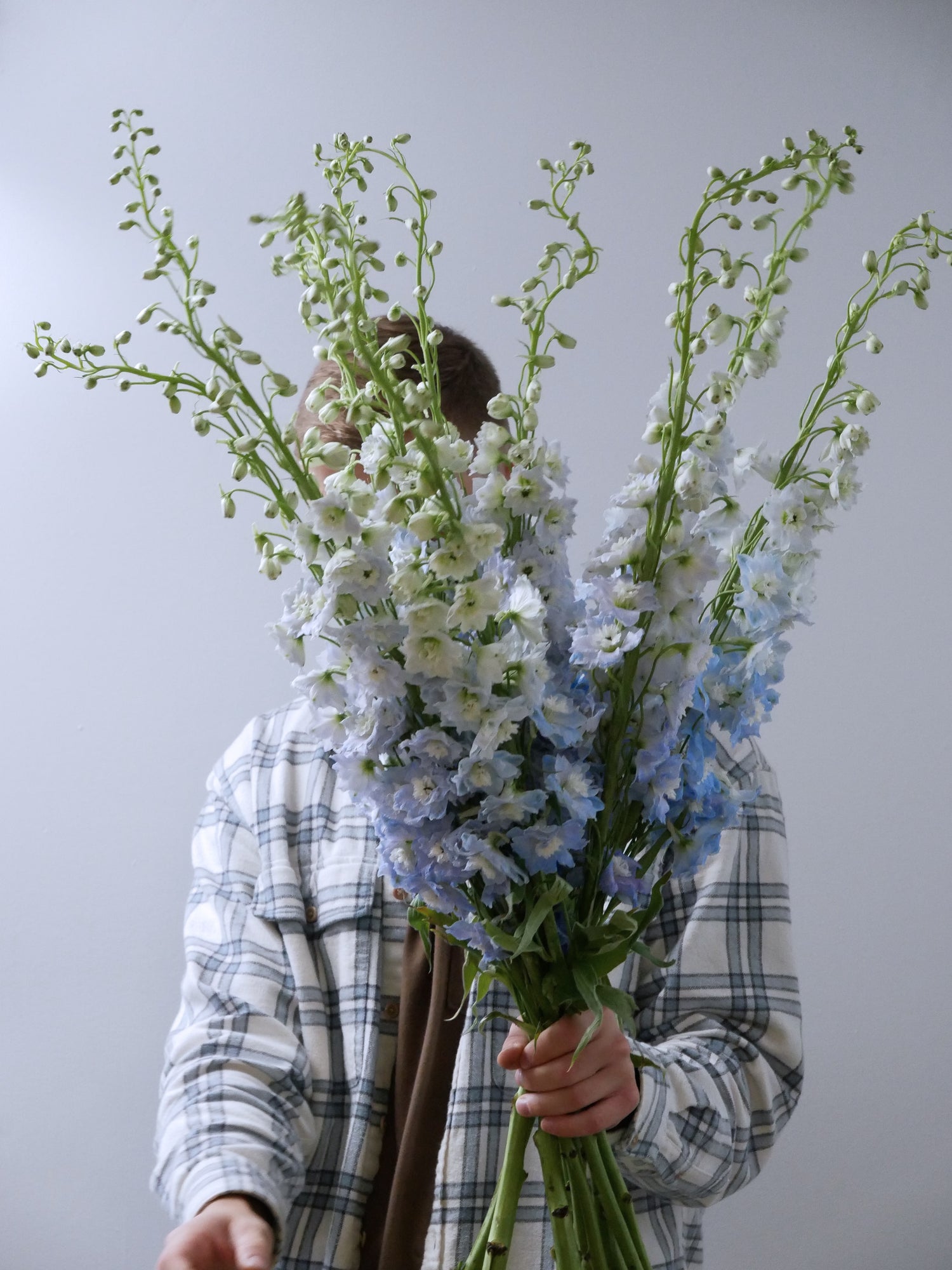 Cape Cod florist standing with delphinium, Floral Esthetics