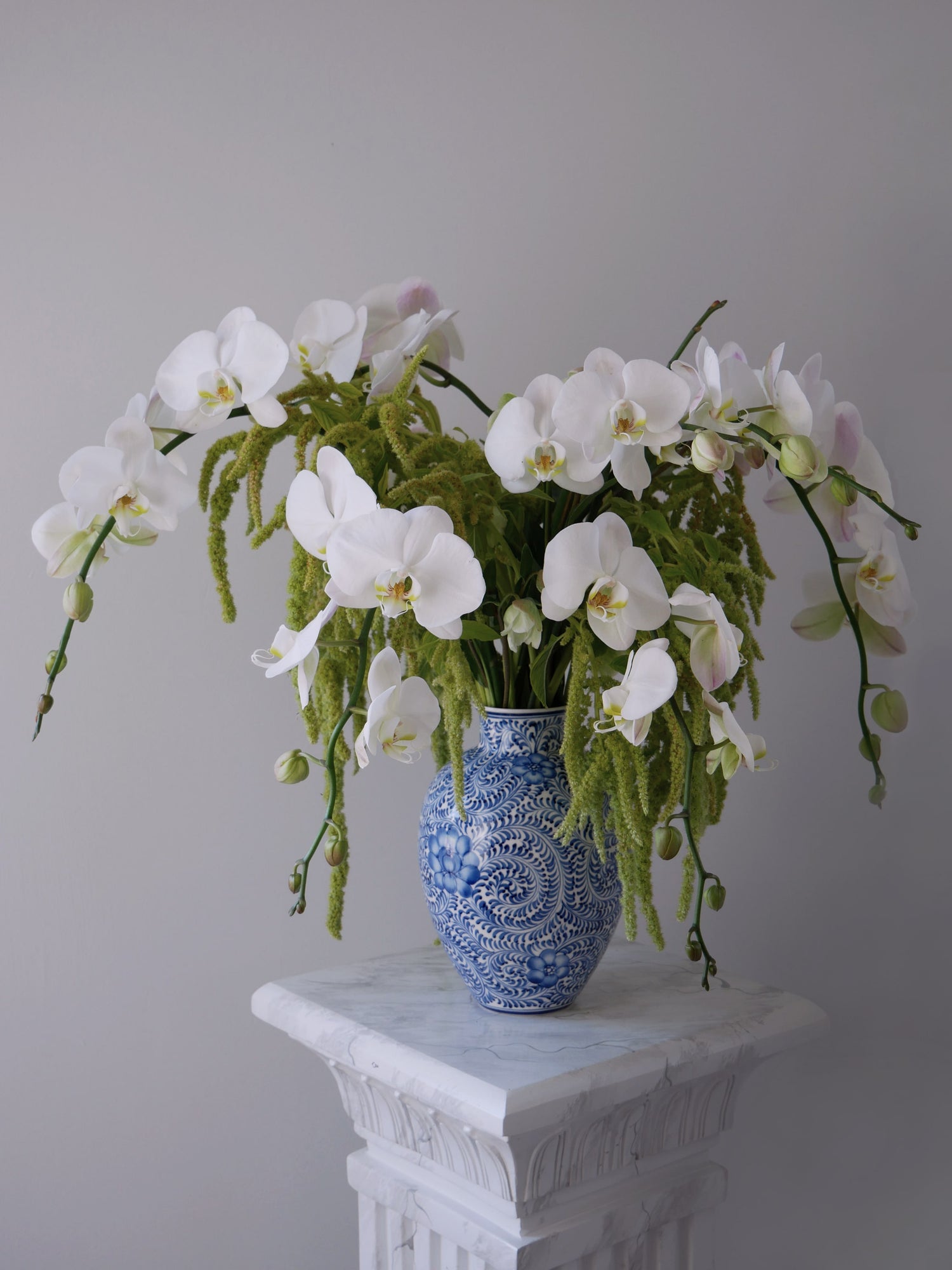 Cape Cod premium floral arrangement featuring orchids and amaranthus by Floral Esthetics