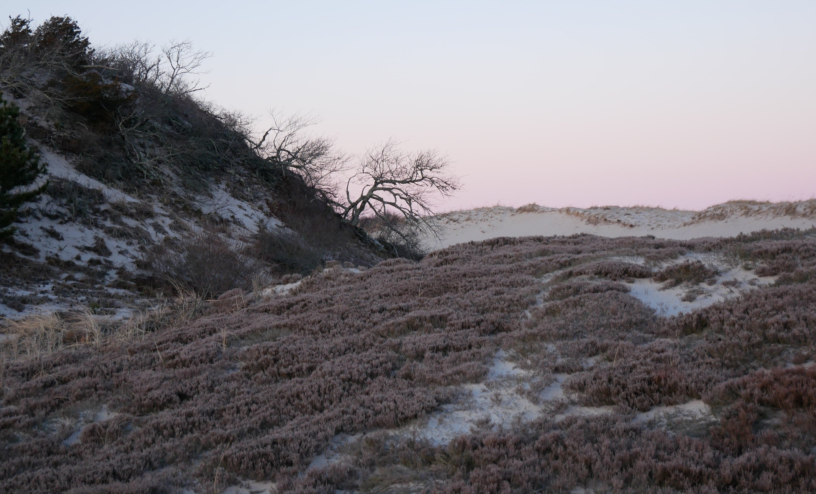 Sandy Neck beach in Barnstable