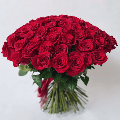 72 red roses 