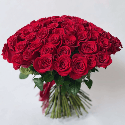 72 red roses 